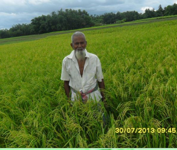 কৃষি ও প্রাণিসম্পদ