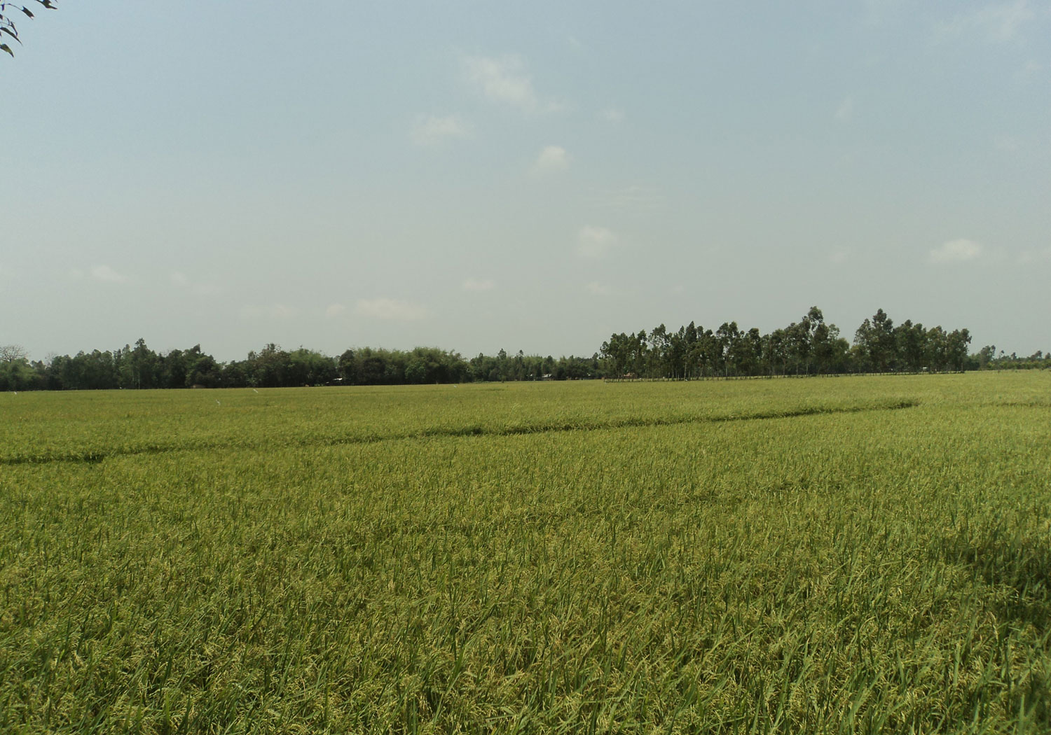 ইউআইএসসি