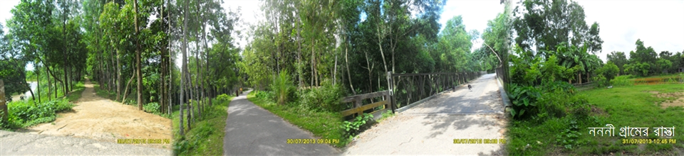 নন্নী গ্রামের রাস্তা