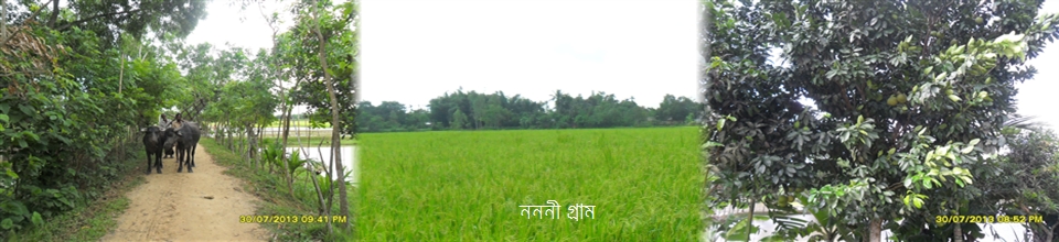 নন্নী গ্রাম