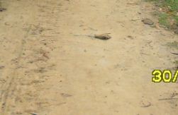 ভূমি অফিস