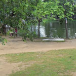 স্থানীয় সরকার প্রকৌশল