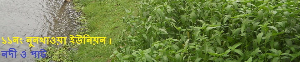 নদী ও পাট