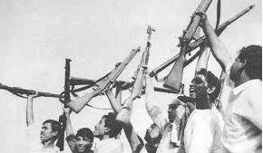 ফটোগ্যালারী 