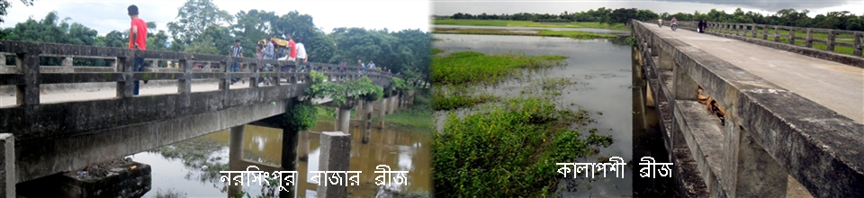 বিখ্যাত দুইটি ব্রীজ...