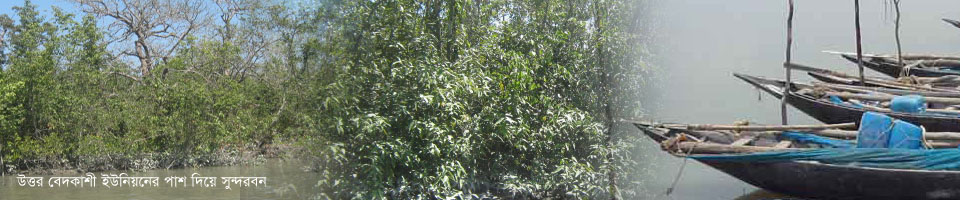 সুন্দর বনের কোল ঘেষে উত্তর বেদকাশী ইউনিয়ন অবস্থিত।