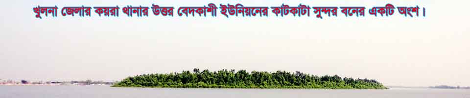 উত্তর বেদকাশী ইউনিয়ন