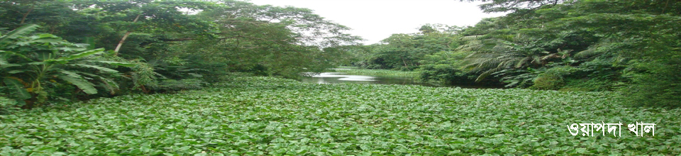 ওয়াপদা খাল