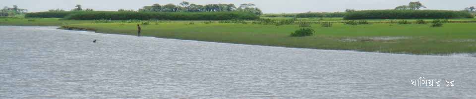 ঘাসিয়ার চর