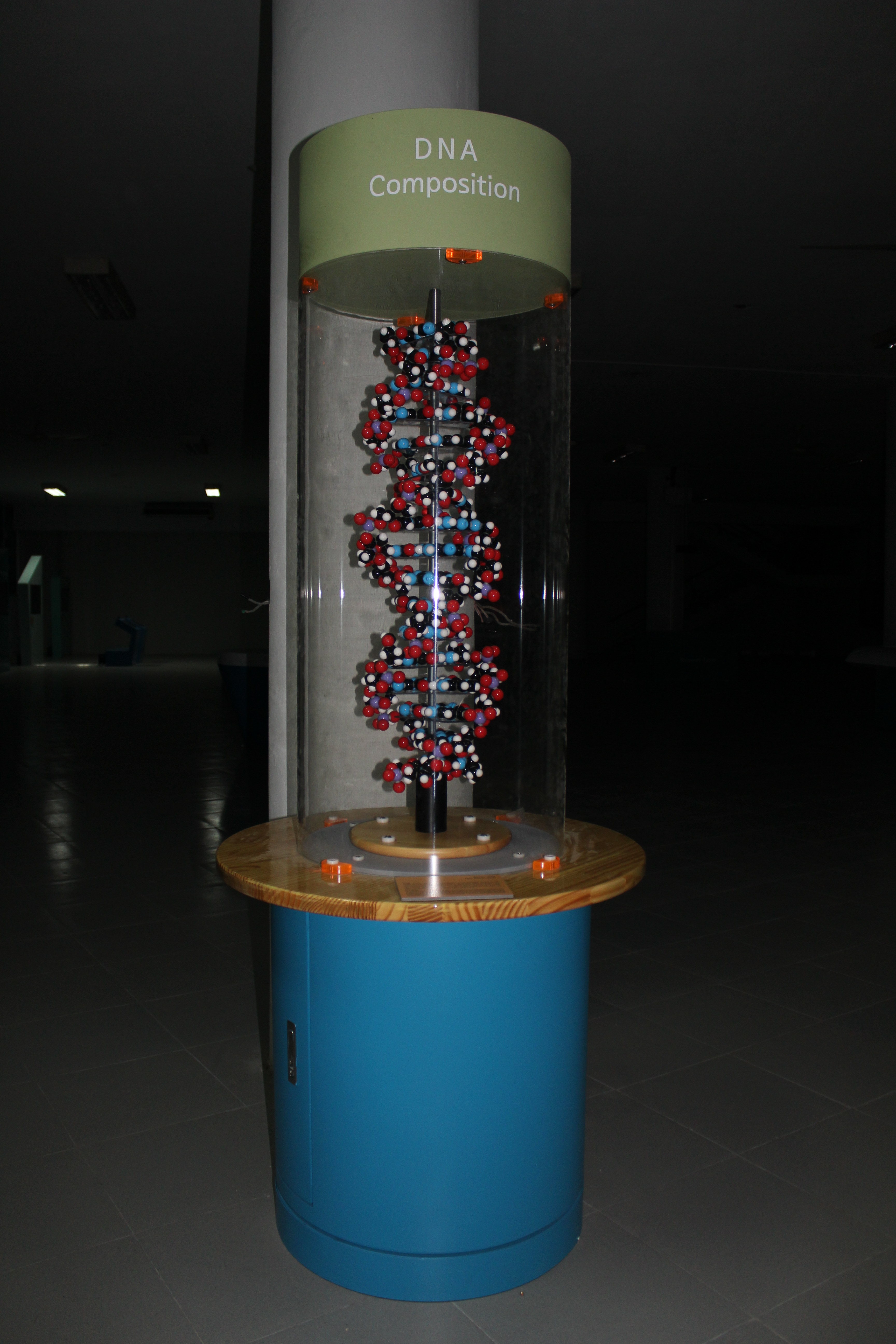 ডিএনএ কম্পোজিশন