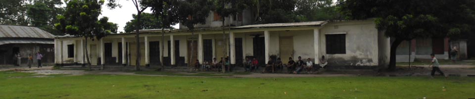 নওপাড়া সরকারী প্রাথমিক বিদ্যালয়