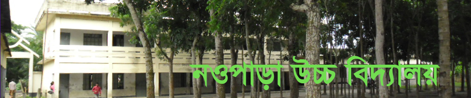 নওপাড়া উচ্চ বিদ্যালয়