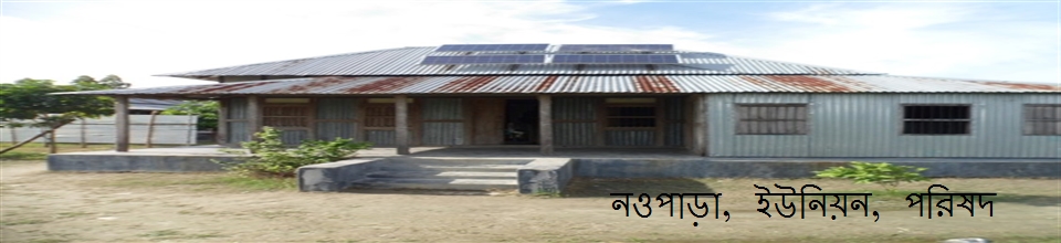 নওপাড়া ইউনিয়ন, পরিষদ