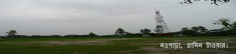 নওপাড়া ইউনিয়ন, পরিষদ