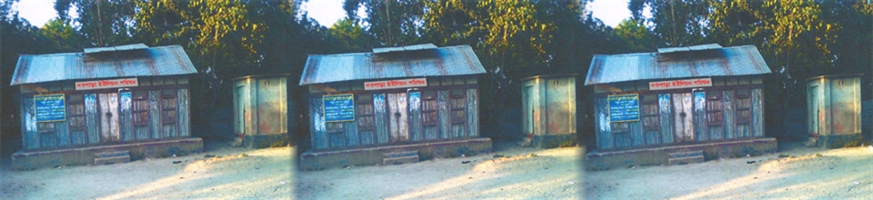 নওপাড়া ইউনিয়ন