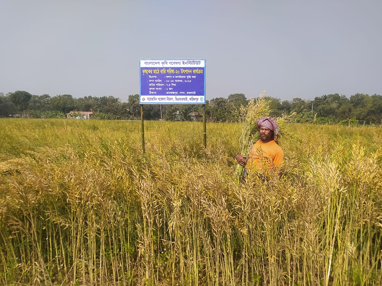 বারি সরিষা-20