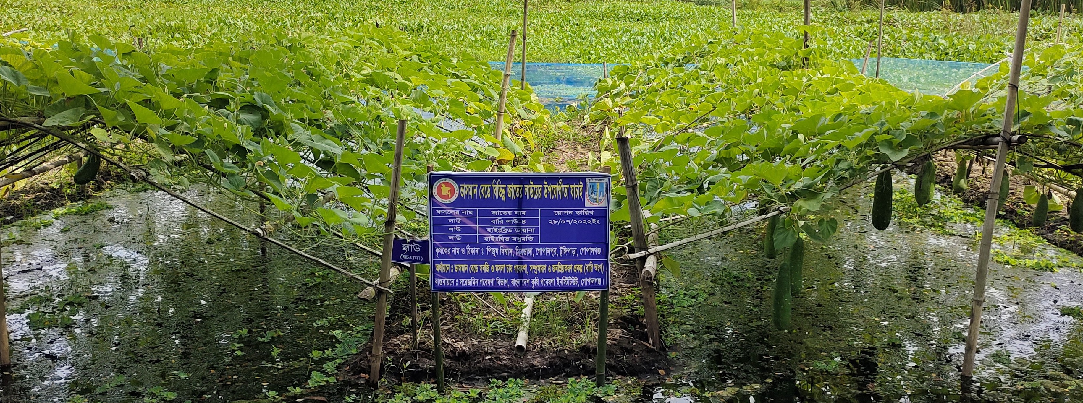 সরেজমিন গবেষণা বিভাগ, বিএআরআই, গোপালগন্জ