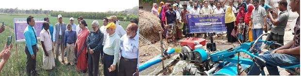 মাঠ পরিদর্শন ও মেশিন বিতরন