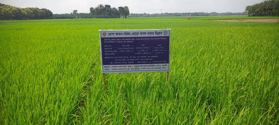 গবেষণা মাঠ