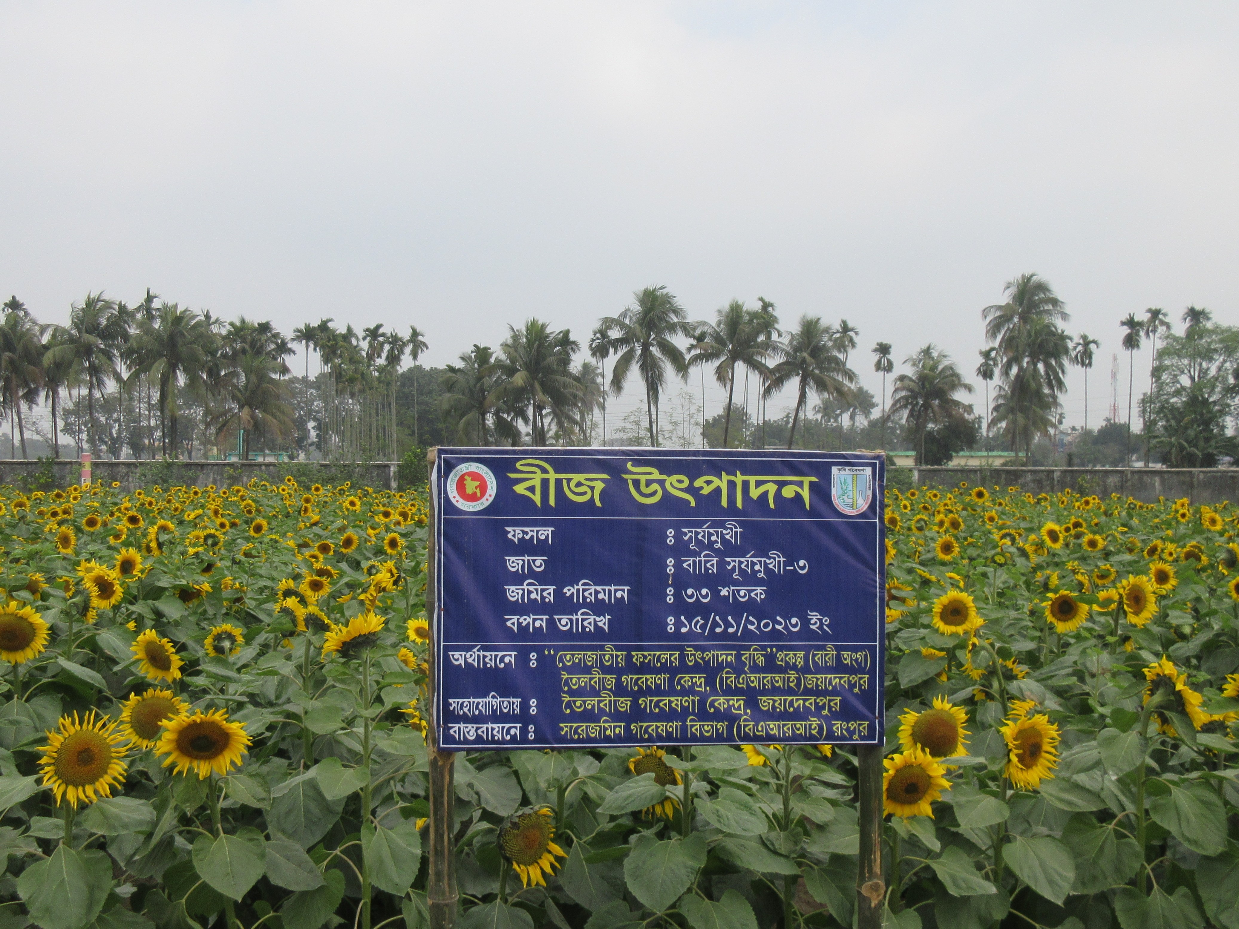 সরেজমিন গবেষণা বিভাগ, রংপুর