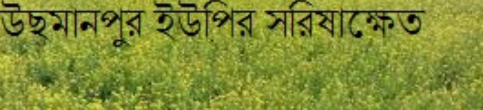 উছমানপুর ইউপির সরিষা ক্ষেত