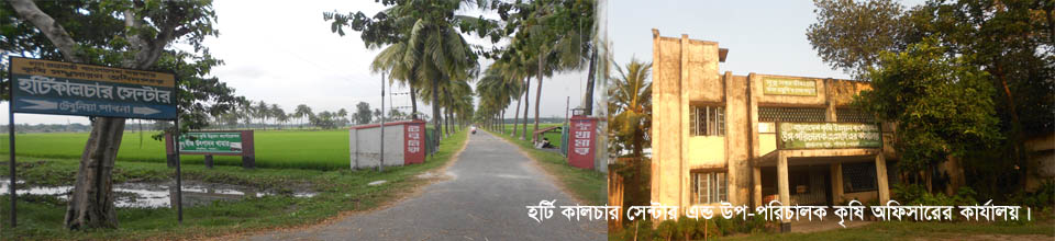 টেবূনিয়া কৃষি ফার্ম