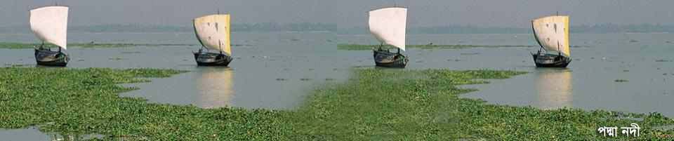 পদ্মা নদী