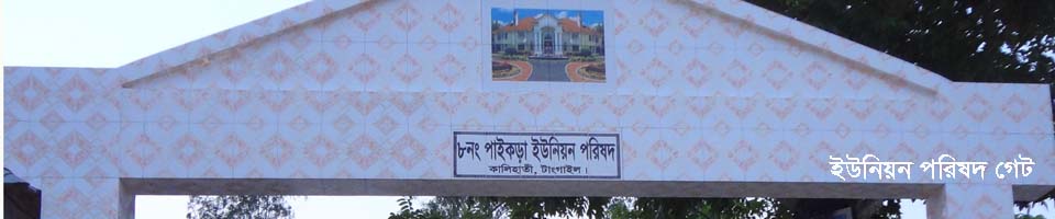 পাইকড়া ইউনিয়ন পরিষদ গেট