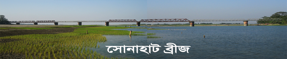 সোনাহাট ব্রীজ