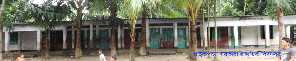 ৫ নং পাইকপাড়া সরকারী প্রাথমিক বিদ্যালয়