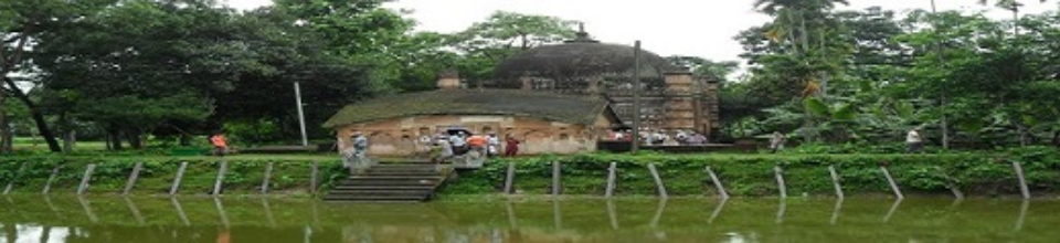 পাকুন্দিয়ার কৃষি ফসল