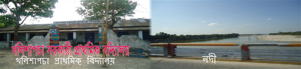 পলাশবাড়ী ইউনিয়ন খলিশাপচা প্রাথমিক বিদ্যালয়