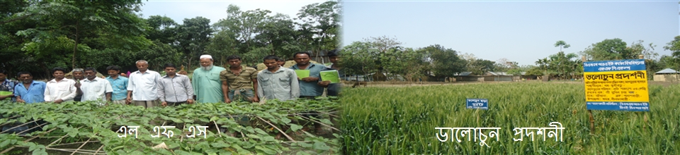 কৃষক মাঠ স্কুল , এল.এফ.এস