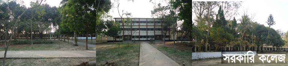 সরকারি কলেজ