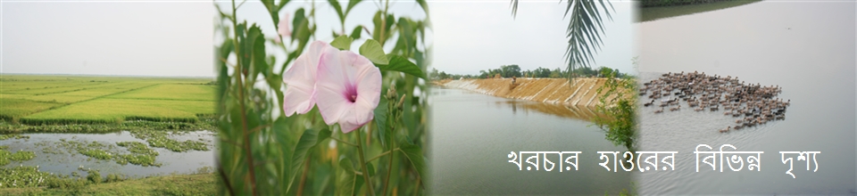 খরচার হাওরের বিভিন্ন দৃশ্য