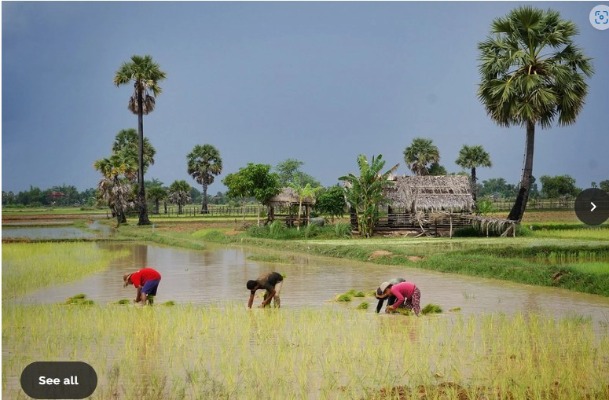 গ্রাম দৃশ্য