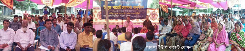 পালশা ইউপি বাজেট ঘোষনা