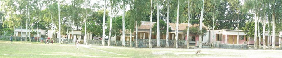 ২নং পালশা ইউনিয়ন পরিষদ
