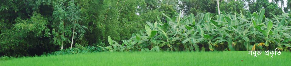 গ্রাম বাংলার প্রকৃতি