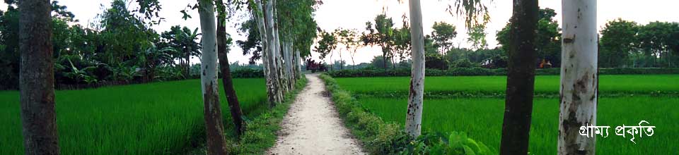 গ্রাম বাংলার প্রকৃতি
