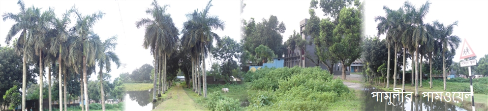 পামুলীর পামওয়েল