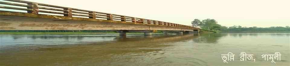 ভুল্লি ব্রীজ