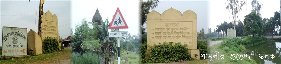 পামুলীর শুভেচ্ছা ফলক এক বিরল দৃশ্য।