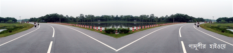 পামুলীর হাইওয়ে