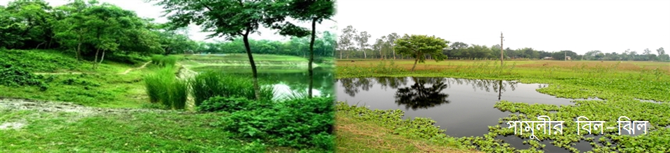 পামুলীর বিলঝিল