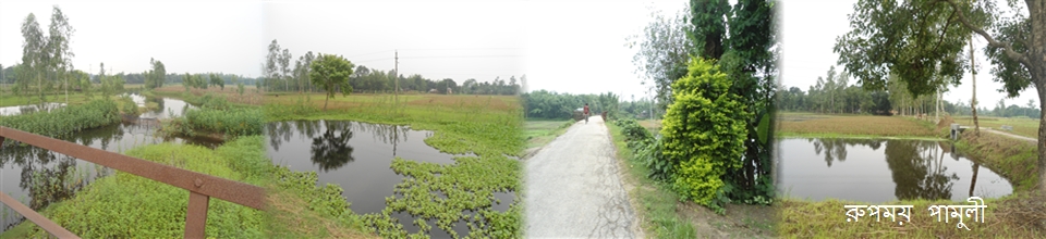 পামুলী তথ্য বাতায়নে ভিজিট করার জন্য আপনাকে স্বাগতম।