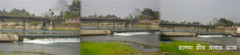 তালমা ব্রীজ রাবার ড্যাম