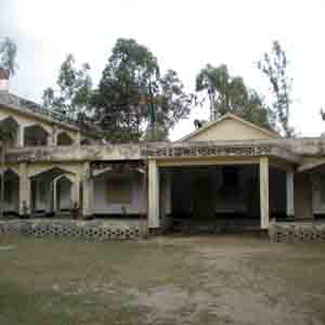 ফটো গ্যালারী