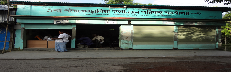 01 নং পঁচাকোড়ালিয়া ইউনিয়ন পরিষদ। তালতলী, বরগুনা।