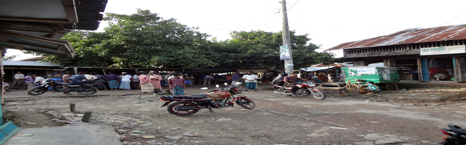 01 নং পঁচাকোড়ালিয়া ইউনিয়ন পরিষদ। তালতলী, বরগুনা।